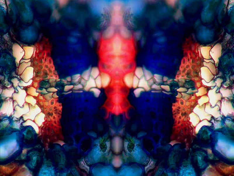 Boomerang (Synthomania Remix) (Single)