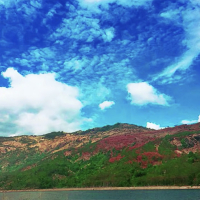 Một Thuở Thanh Bình (Single)