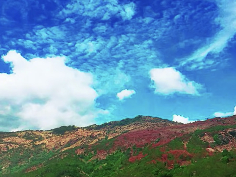 Một Thuở Thanh Bình (Single)