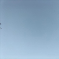 Where are you now (Single)