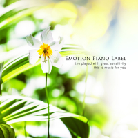 Open The Window Of Your Heart (Single)