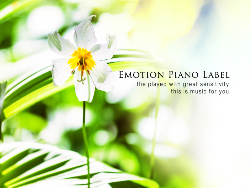 Open The Window Of Your Heart (Single)