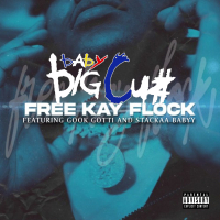 Free Kay Flocc (feat. Gook Gotti & Stackaa Babyy) (Single)