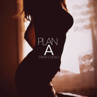 Plan A (Single)