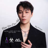 Tình Yêu Dại Khờ (Huy PT x Mimilee Remix) (Single)