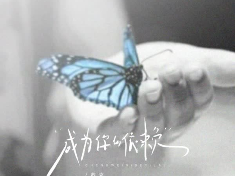 成为你的依赖 (Single)