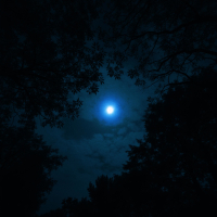 Static When Stars Drown (EP)