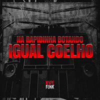 Na Rapidinha Botando Igual Coelho (Single)