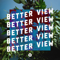 Better View (Single)
