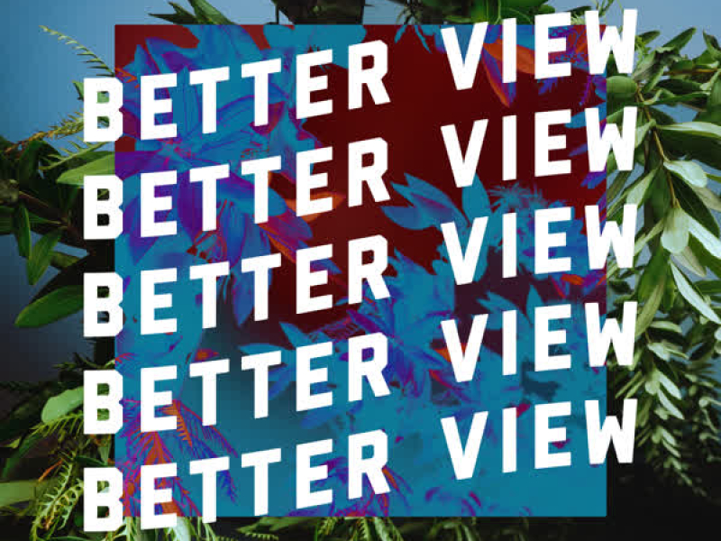 Better View (Single)