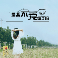 是我不爱你了吗 (Single)