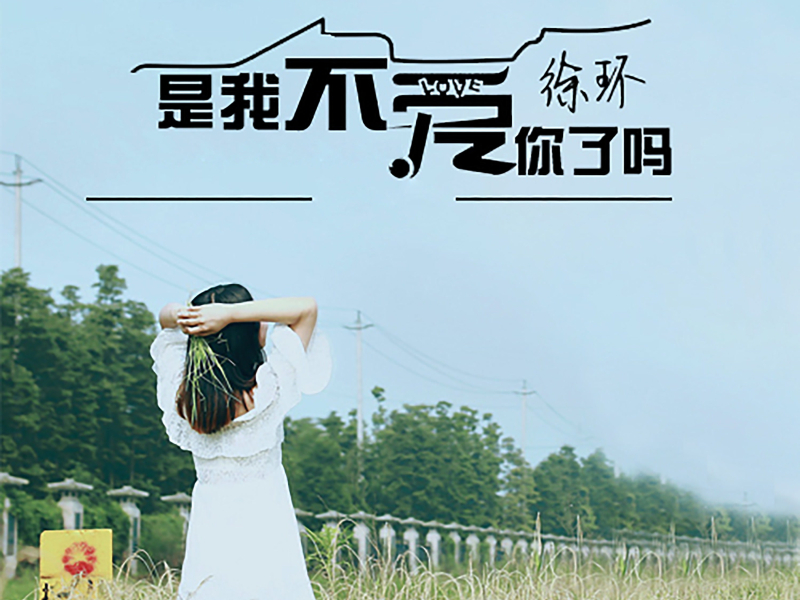 是我不爱你了吗 (Single)