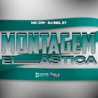 Montagem Elástica (Single)