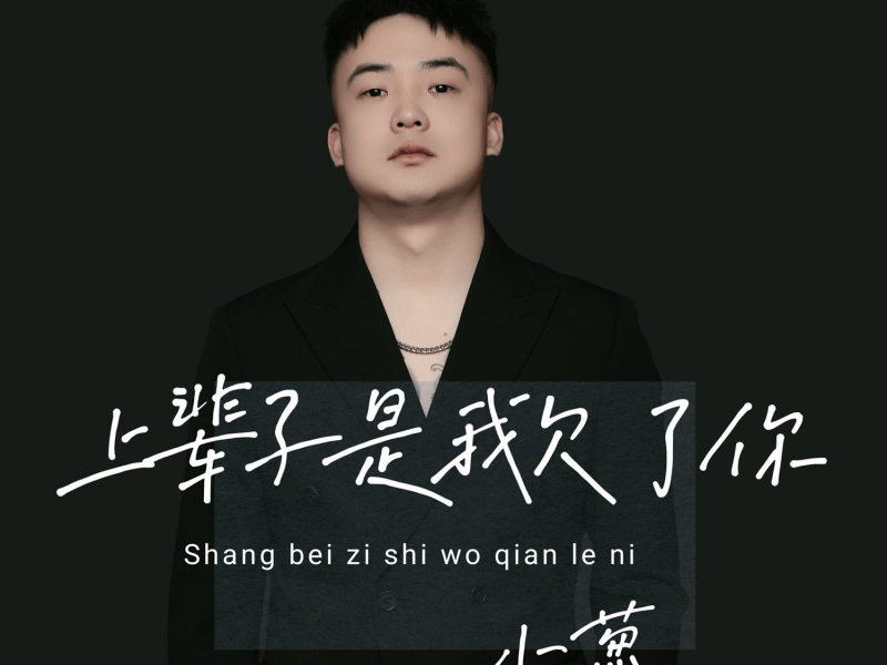 上辈子是我欠了你 (Single)