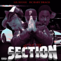 Section (Single)