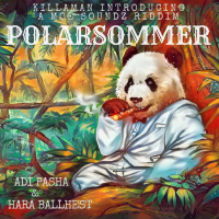 Polarsommer (Single)