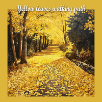Yellow leaves walking path (Single)