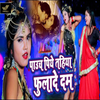 Pauch Paiye Tahiya Fulade Dam (Single)
