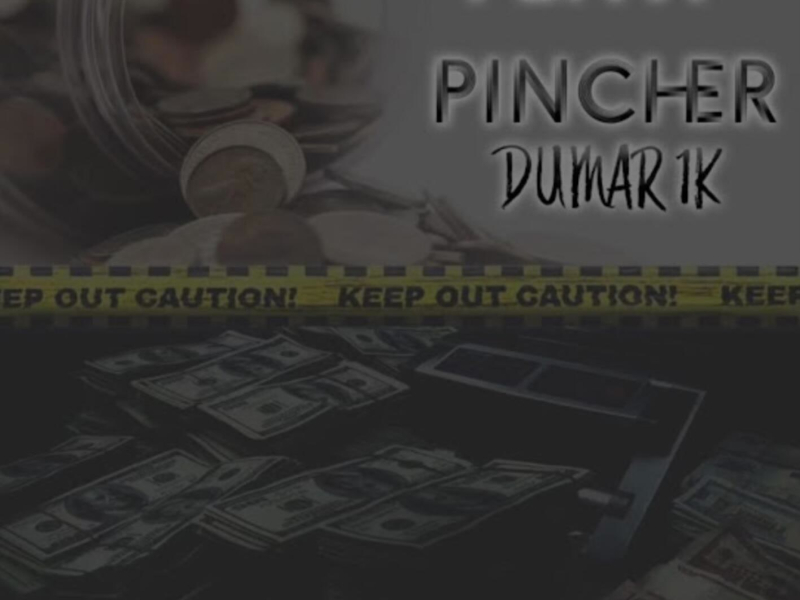 Penny Pincher (Single)