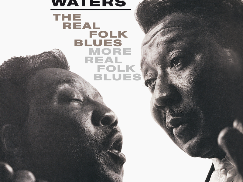 The Real Folk Blues/More Real Folk Blues