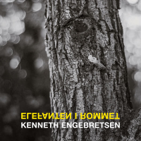 ELEFANTEN I ROMMET (Single)