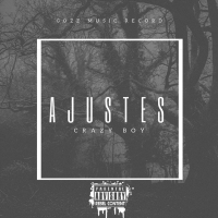 Ajustes (Single)