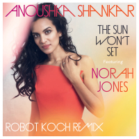 The Sun Won't Set (Robot Koch Remix) (Single)