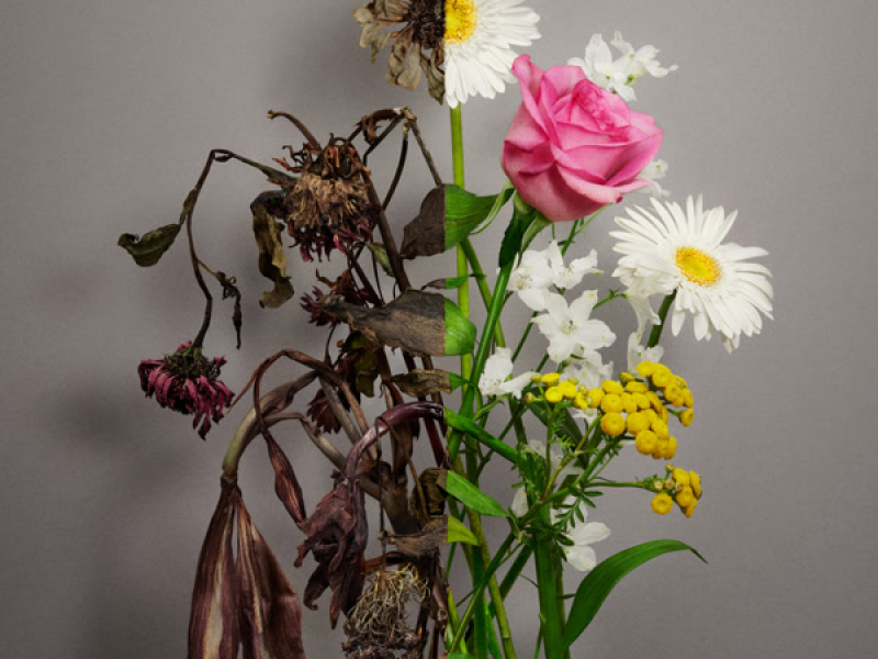 Unfading Sense - The 5th Mini Album (EP)