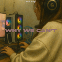 Why We Can't (Single)