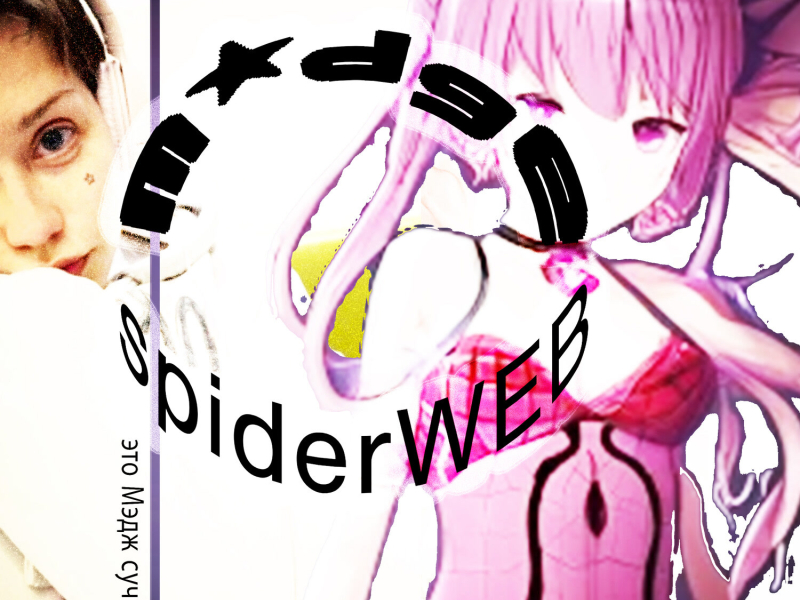 SpiderWEB (Single)