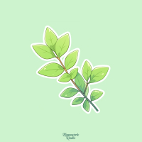 Plants (Single)
