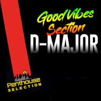 Good Vibes Section (Single)
