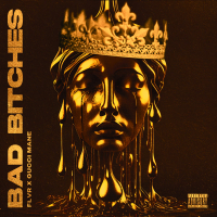 Bad Bitches (Single)