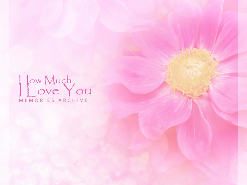 How Much I Love You (Single)