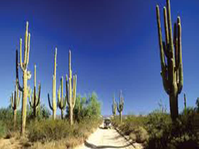 Riding in My Van (Single)