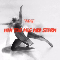 Hon tog mig med storm (Single)