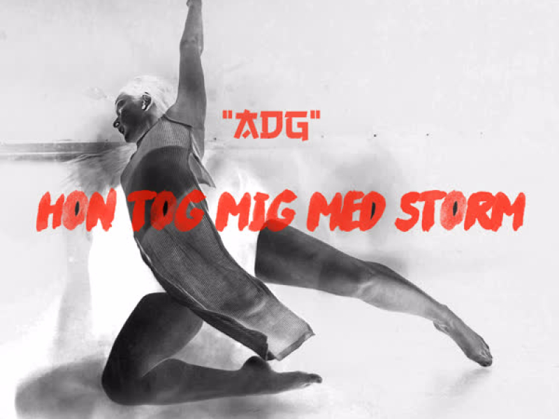 Hon tog mig med storm (Single)