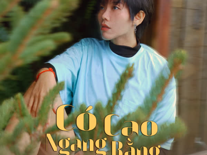 Có Cao Ngang Bằng (Single)