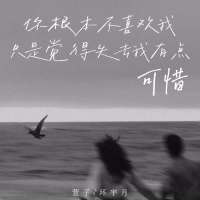 你根本不喜欢我 只是觉得失去我有点可惜 (Single)