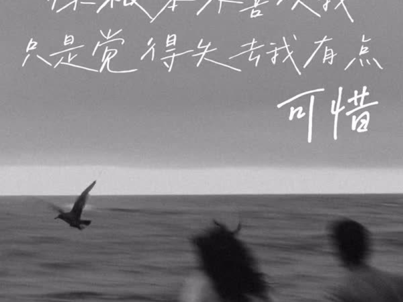 你根本不喜欢我 只是觉得失去我有点可惜 (Single)