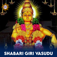 Shabari Giri Vasudu (Single)