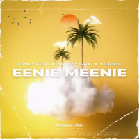 Eenie Meenie (Single)