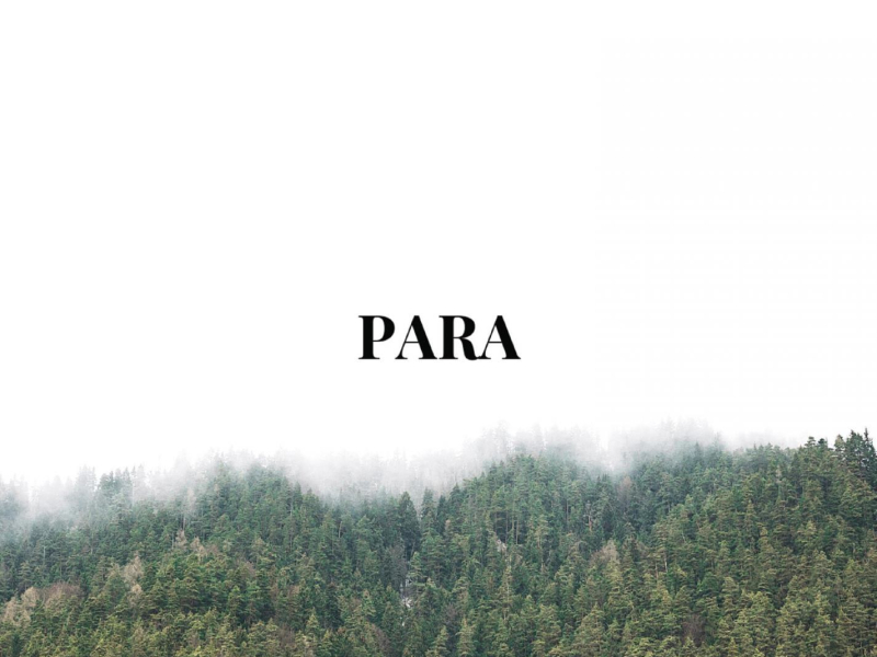 Para (Single)