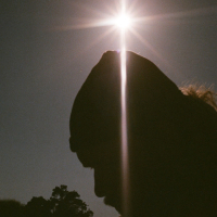 Pollen / Pollinate (Single)