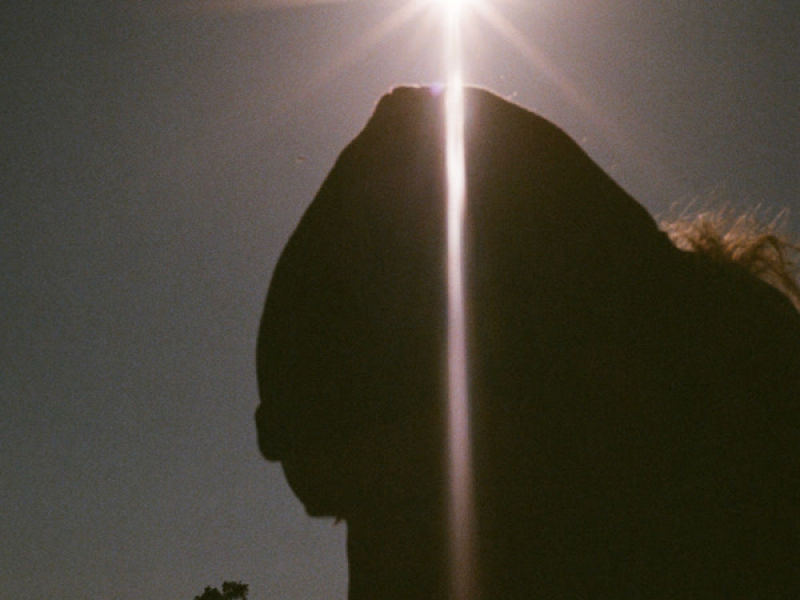 Pollen / Pollinate (Single)