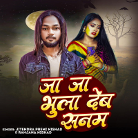 Ja Ja Bhula Deb Sanam (Single)