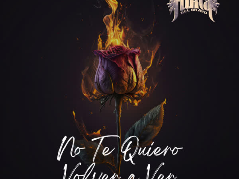 No Te Quiero Volver A Ver (Single)