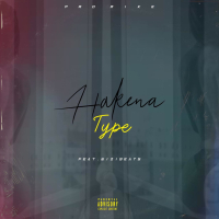 Hakena Type (feat. Wizibeatz) (Single)