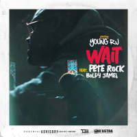 WAIT (Single)
