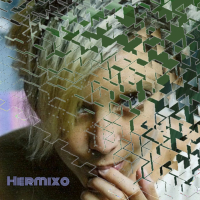 Hermixo (Hermoso Remix) (Single)